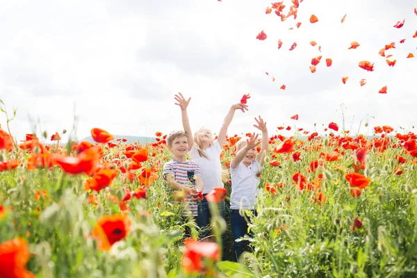 Brothers and sister in poppy field — Stok fotoğraf