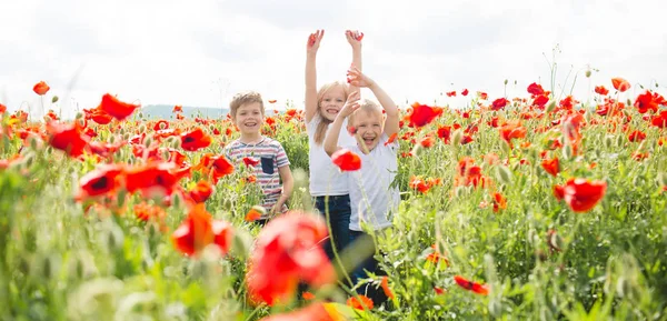 Brothers and sister in poppy field — 图库照片