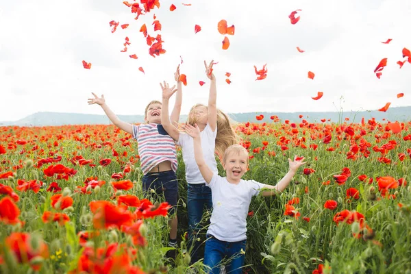 Brothers and sister in poppy field — 스톡 사진