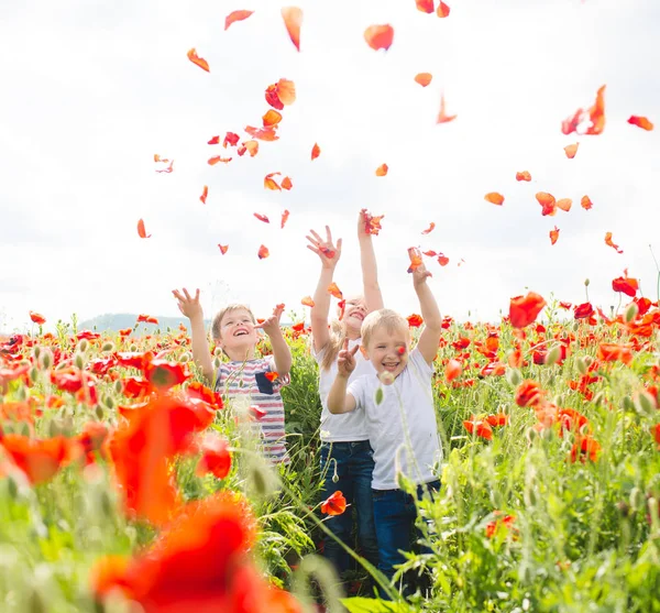 Brothers and sister in poppy field — Stock Photo, Image