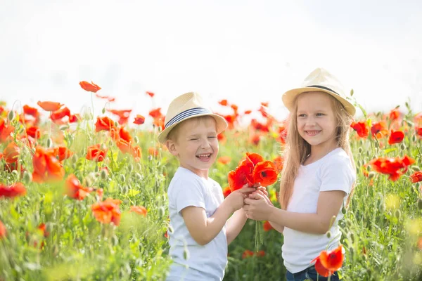 Brother and sister in poppy field — Stok fotoğraf