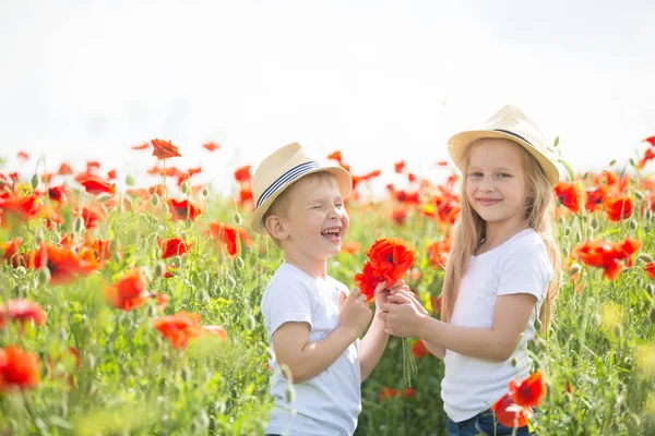 Hermano y hermana en el campo de amapola — Foto de Stock