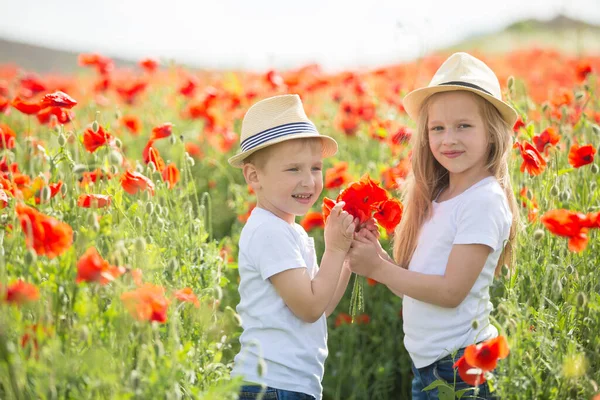 Brother and sister in poppy field — Stock Photo, Image