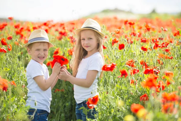 Hermano y hermana en el campo de amapola — Foto de Stock