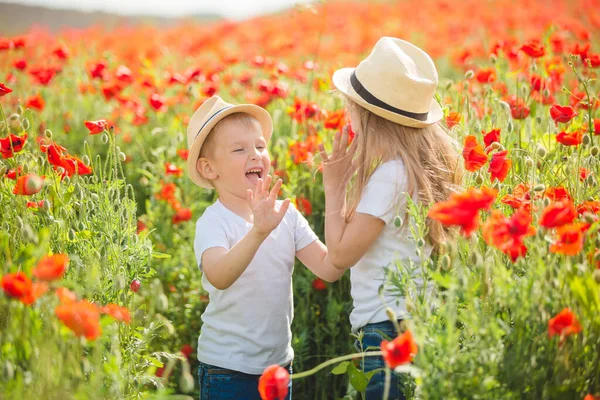 Brother and sister in poppy field — Stok fotoğraf