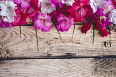 Gladiolus çiçekleri üst görünüm