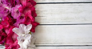 Gladiolus çiçekleri üst görünüm