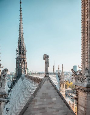 Notre Dame de Paris Katedrali