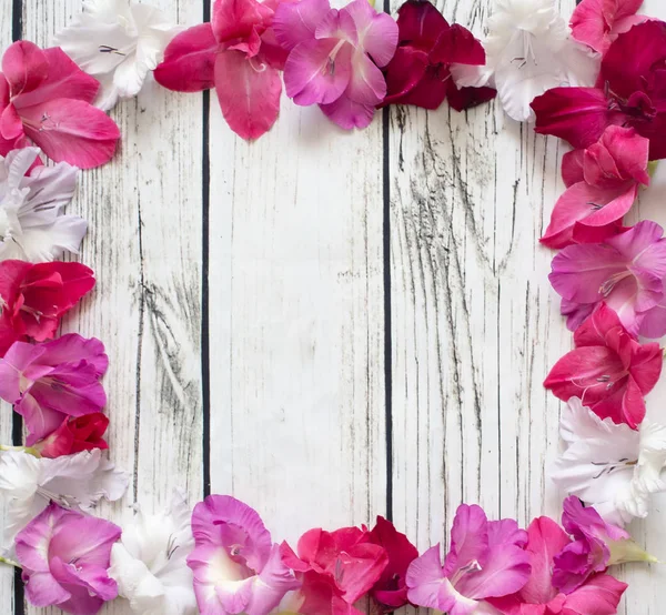 Gladiolus flowers top view — Stock Photo, Image