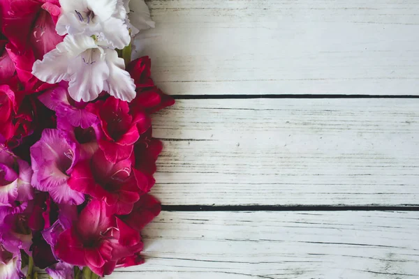 Gladiolus flowers top view — Stock Photo, Image