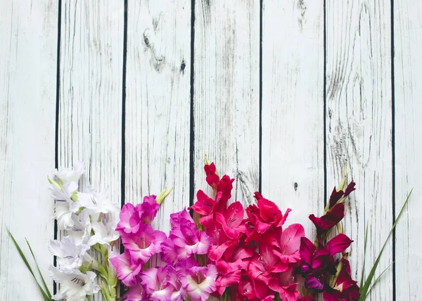 Gladiolus flores vista superior — Fotografia de Stock