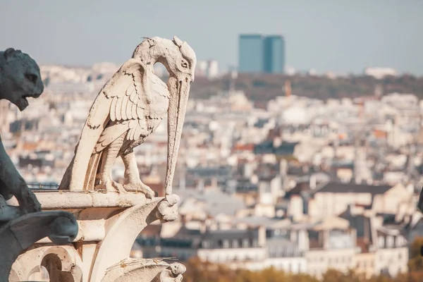 Cathédrale Notre Dame de Paris — Photo