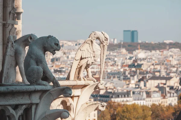 Cathédrale Notre Dame de Paris — Photo