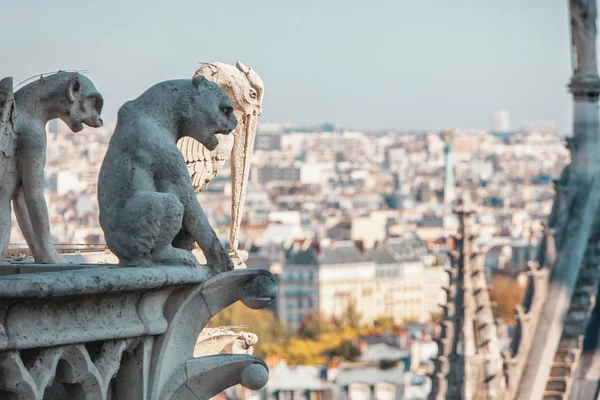 Notre Dame de Paris kathedraal — Stockfoto