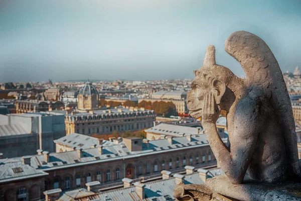 Cathédrale Notre Dame de Paris — Photo