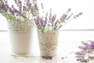 Beyaz arkaplanda lavanta çiçekleri izole