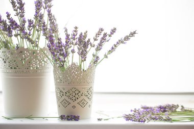 Beyaz arkaplanda lavanta çiçekleri izole