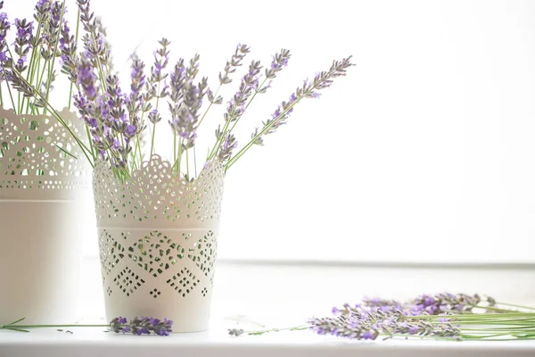 흰 배경에 분리되어 있는 라벤더 꽃 — 스톡 사진