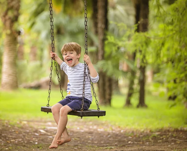 Giovanissima ragazzo su swing — Foto Stock