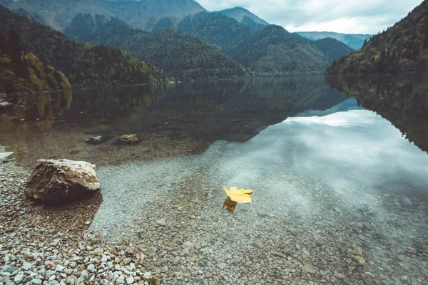 Javorový list ve vodě — Stock fotografie