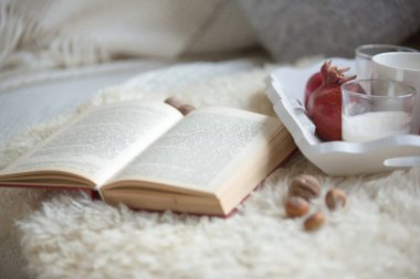 İskandinav tarzında iç mekan fotoğrafı