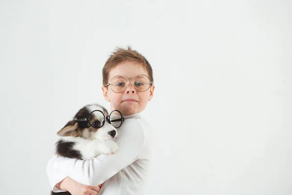 Teen boy and Corgi puppy with glasses — Stock Photo, Image