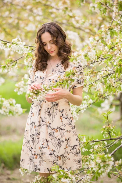 Elegancka Szczupła Kobieta Relaksuje Się Kwitnącym Wiśniowym Sadzie Wakacje Wiosce — Zdjęcie stockowe