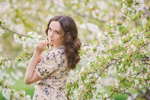 Elegant Slender Woman Enjoys Relaxing Blooming Cherry Orchard Holidays Village — Stock Photo, Image