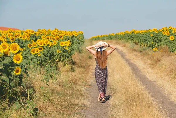 Жінка Ходить Полі Жовтих Квітів Соняшник Краси Здоров Шкіри Волосся — стокове фото