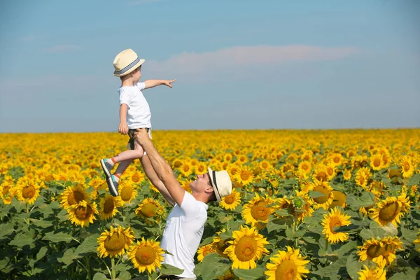 子供と彼の父親は巨大なひまわり畑で遊んでいます 白いTシャツと帽子の小さな男の子と男 パパは赤ん坊を抱いてる ストック写真