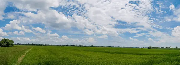 Paisaje panorámico. Hermoso paisaje de relleno de campo . — Foto de Stock