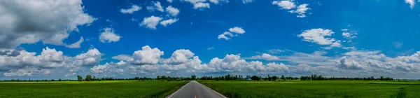 पॅनोरामा लँडस्केप कॉर्नफील्ड आणि सुंदर निळा आकाश दरम्यान आस्फाल्ट रस्ता ग्रीन निसर्ग लँडस्केप सकाळी ढगाळ — स्टॉक फोटो, इमेज