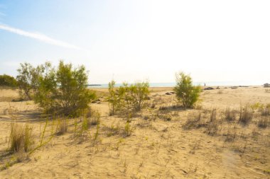 Massalfassar 'da kumsalda, Valencia, İspanya yakınlarında.