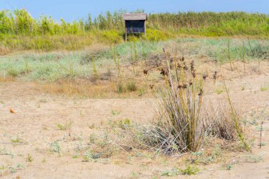 Massalfassar 'da kumsalda, Valencia, İspanya yakınlarında.