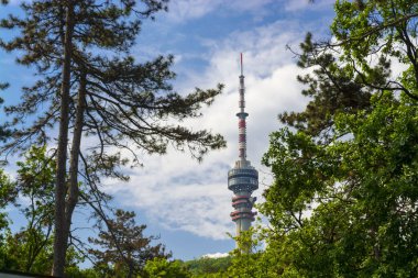 Pecs 'in yukarısındaki Mecsek dağındaki televizyon vericisi kulesi.