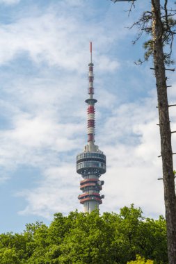 Pecs 'in yukarısındaki Mecsek dağındaki televizyon vericisi kulesi.