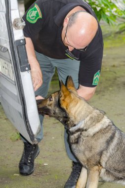 SZEGED, HUNGARY - Haziran 07. 2016 - Szeged Zoo 'daki Macar NAV Ulusal Vergi ve Gümrük İdaresinin Sniffer köpek sunumu