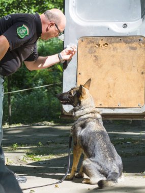 SZEGED, AĞUSTOS 02. 2016 - Szeged Zoo b 'de Macaristan Ulusal Vergi ve Gümrük İdaresinin Sniffer köpek sunumu