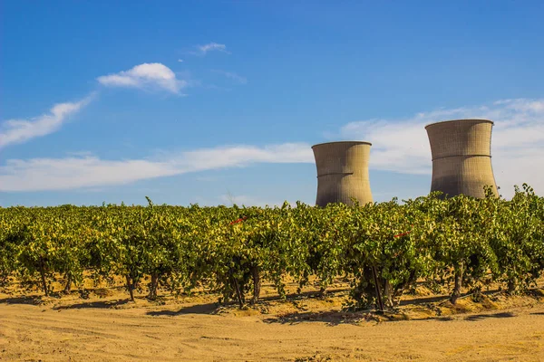 Smokestacks nucleares inativos atrás da vinha de uva — Fotografia de Stock