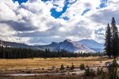 Dağ çayır granit çıkıntının üssünde