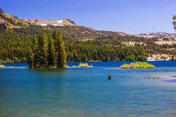 Malý ostrov v horské jezero v pohoří Sierra Nevada — Stock fotografie