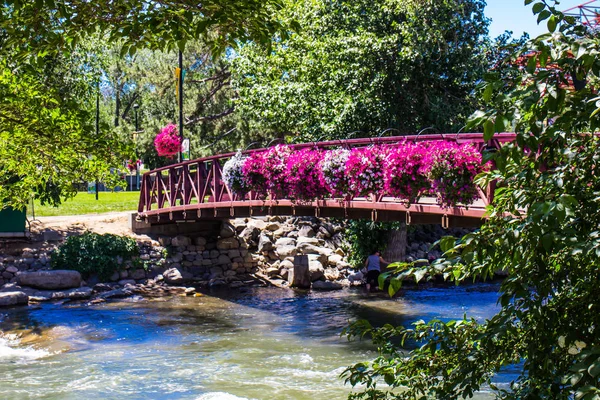 Pont avec des fleurs suspendues sur la rivière Truckee à Reno, Nevada — Photo