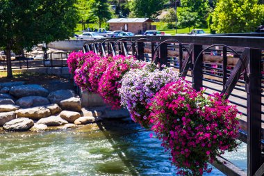 Renkli çiçekler Bridge Over Truckee nehir Reno, Nevada yürüyüş dekorasyon