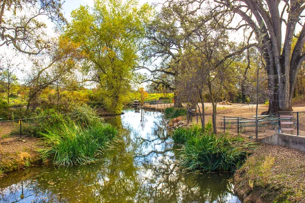 Gölet ve ağaçlar yerel çiçek çiftliğinde