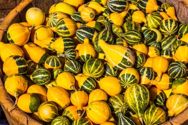 Armut biçimli Squash Cadılar Bayramı için