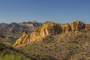 Arizona kaplı dağlar moss