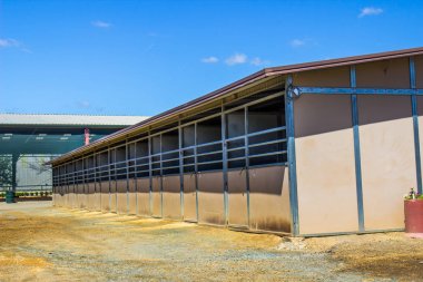 At tezgahları atlı köşk dışında