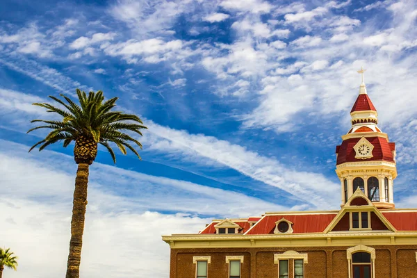 Palmera Junto Edificio Torre Del Reloj — Foto de Stock