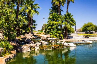 Kamu parkındaki havuzlar ve şelaleler serisi