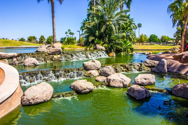 Patos Bebé Piscinas Con Cascadas — Foto de Stock